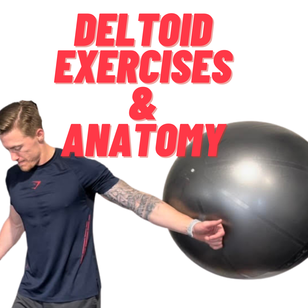 5-Rear Deltoid Exercises you've NEVER TRIED