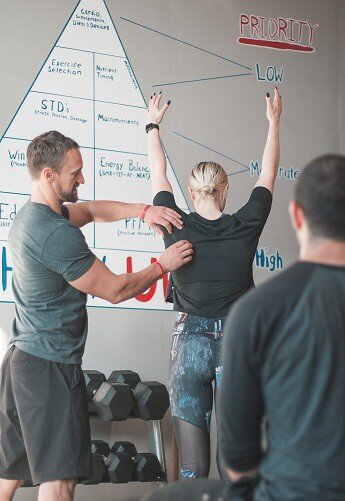 17-muscles of the SHOULDER