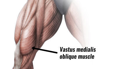 Hip Anatomy: Vastus Medialis