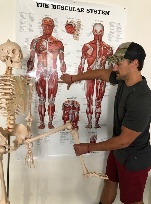 NASM / ACE  - ANY CPT TEXTBOOK PREP $25/MONTH